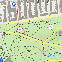 thumbnail for Lily Pond