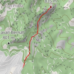 thumbnail for Castellassa de Can Torres