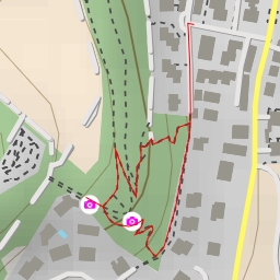 thumbnail for Alpenzeiger Hohflue