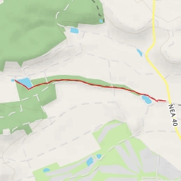 thumbnail for Georg Wilhelm Steller Naturerlebnispfad - St 2252