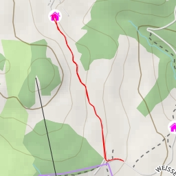 thumbnail for Wiesleralm