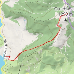 thumbnail for Gruebweidstrasse - Gruebweidstrasse