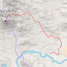 thumbnail for Broken Nose