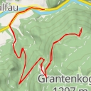 thumbnail for Rodlerin