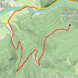 thumbnail for Rodlerin