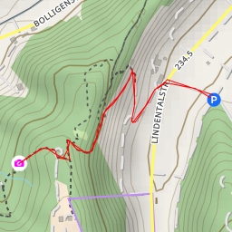 thumbnail for Bolligenstrasse