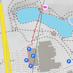 thumbnail for Belvedere