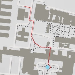 thumbnail for Doctor Carlos Lorca Tobar