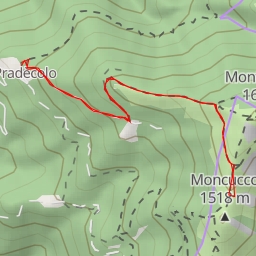 thumbnail for Via Pazz