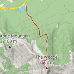 thumbnail for The Wedge