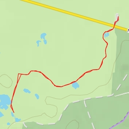 thumbnail for Wasserrückstau - Waldweg