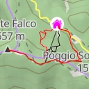 thumbnail for Monte Falco