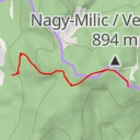 thumbnail for Kis-Milic