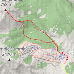 thumbnail for Mount Collembola