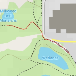 thumbnail for Milkweed and Monarchs