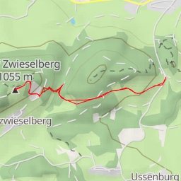 thumbnail for Buch / Zwieselberg