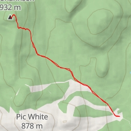 thumbnail for Pic Johannsen