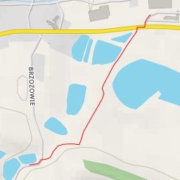 thumbnail for Brzozowie - Brzozowie