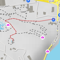 thumbnail for Piante grasse - Via San Remigio