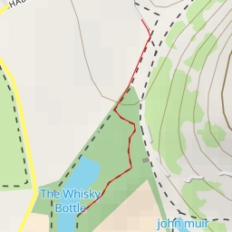 thumbnail for The Whisky Bottle