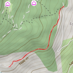 thumbnail for Route Forestière du Mont Guillaume