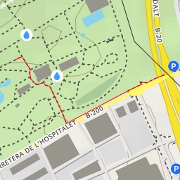 thumbnail for Pi pinyer - Passeig dels plàtans