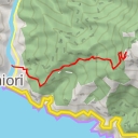 thumbnail for cai 307