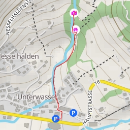 thumbnail for Nesselhaldenstrasse - Wildhaus-Alt St. Johann