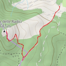 thumbnail for Alpicella delle Radici