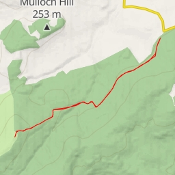 thumbnail for Shillofad