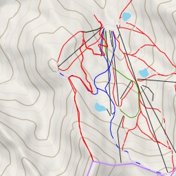 thumbnail for Pica Cerví de Durro