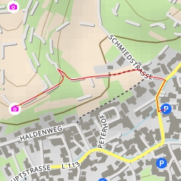 thumbnail for Haldenweg