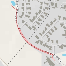 thumbnail for Præstesvinget