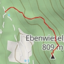 thumbnail for Ebenwieselstein