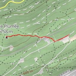 thumbnail for Tête Plumée