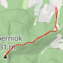 thumbnail for Cyberniok