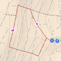 thumbnail for Bodenheimer Hoch