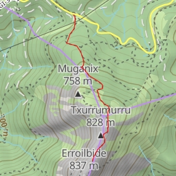 thumbnail for Lizarretako gaina