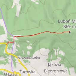 thumbnail for Luboń Mały