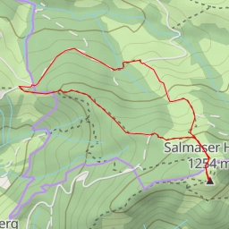 thumbnail for Aussichtspunkt Salmaser Höhe - Burgangerweg - Oberstaufen