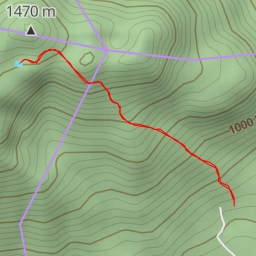 thumbnail for Crater Swamp