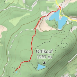 thumbnail for Schwarze Lacke