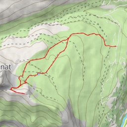 thumbnail for Soum Braque