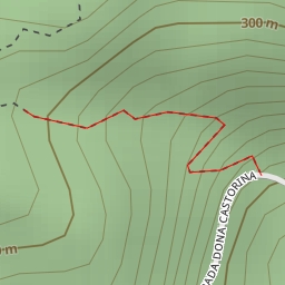 thumbnail for Jequitiba