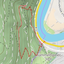 thumbnail for Linsenteich-Auweg - Heidelberg