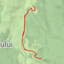 thumbnail for Brüll kilátó