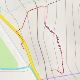 thumbnail for Elephant Head