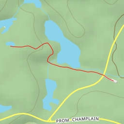 thumbnail for Sentier / Trail #11 - Sentier / Trail #11
