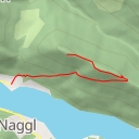 thumbnail for Auerkopf