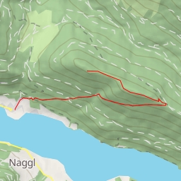 thumbnail for Auerkopf